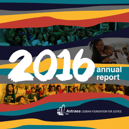 Astraea Annual Report 2016